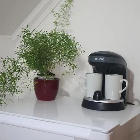 Csillagocska Apartman 에게르